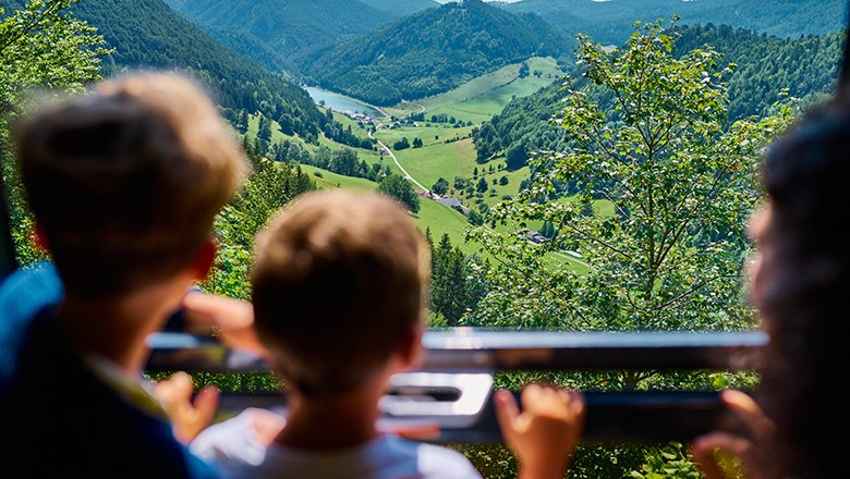 Familie schaut auf grüne Landschaft